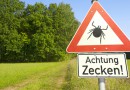 Die Zecke – sie ist und bleibt ein heißes Thema